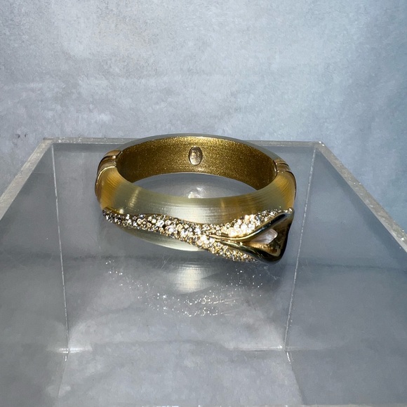 Alexis Bittar Jewelry - Alexis Bittar bracelet